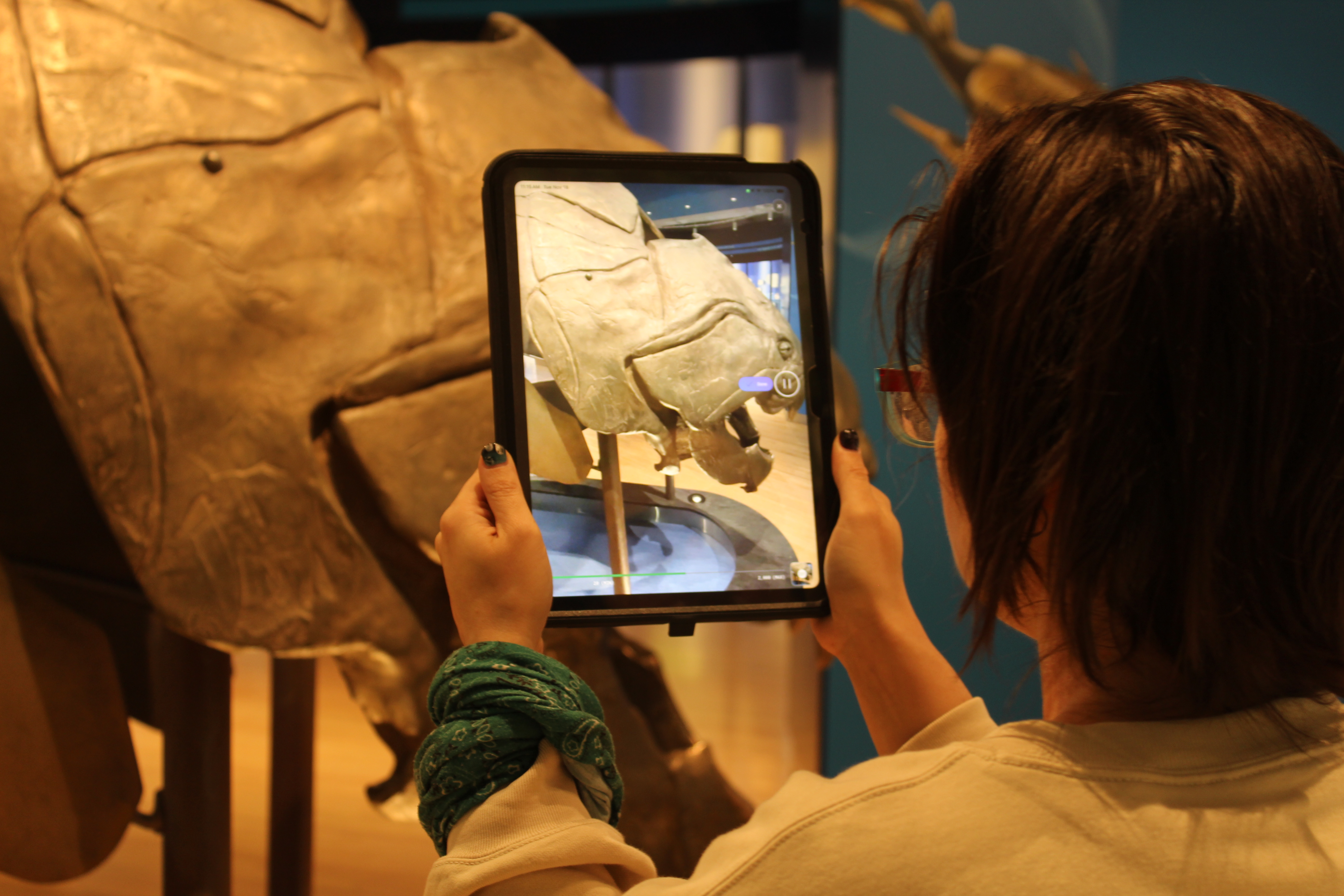 A person stands in front of a large fossil fish head holding an ipad that displays the head from the front.