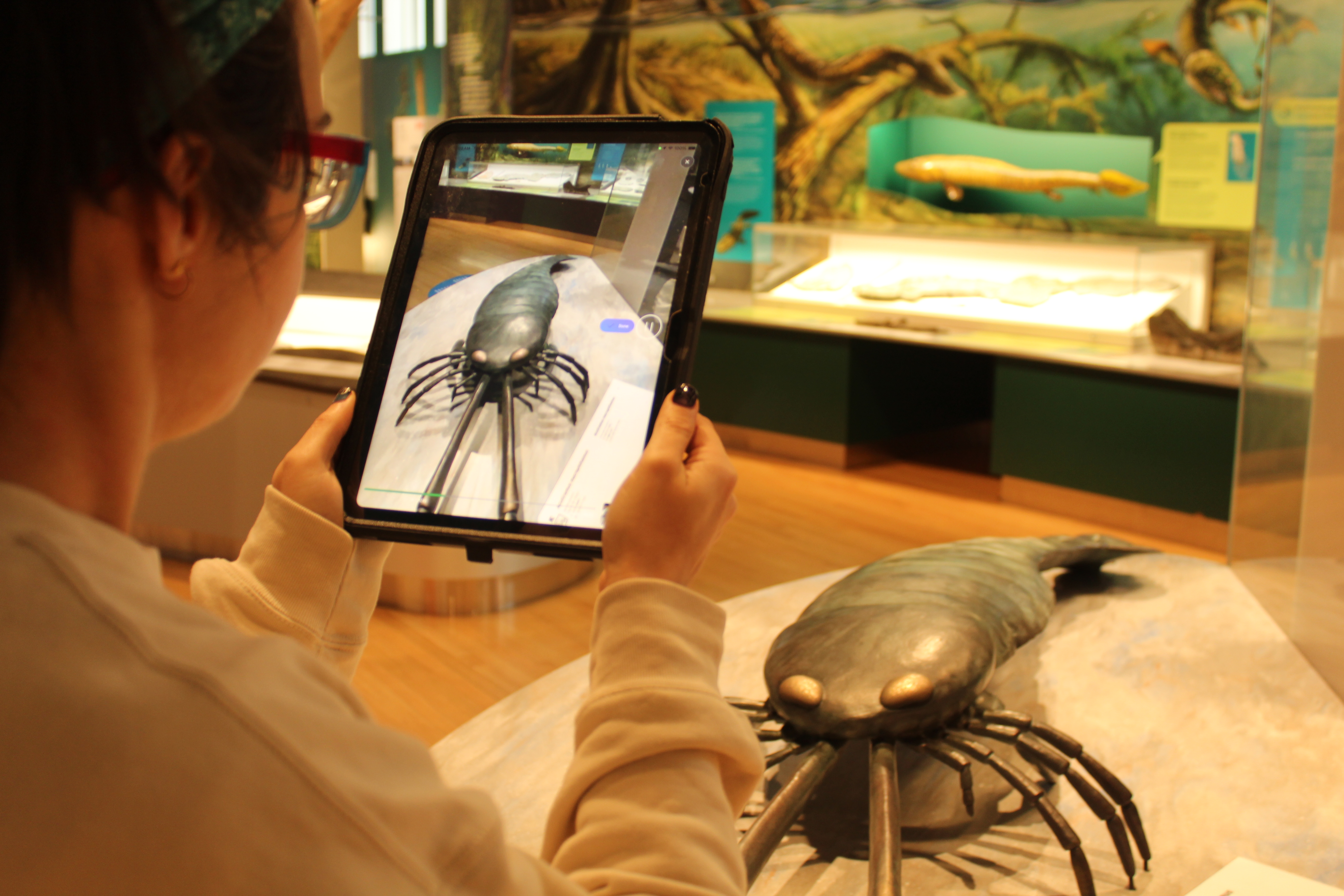 A person 3D scanning a reproduction of Acutiramus macrophthalmus (and the surrounding area) in a museum gallery
