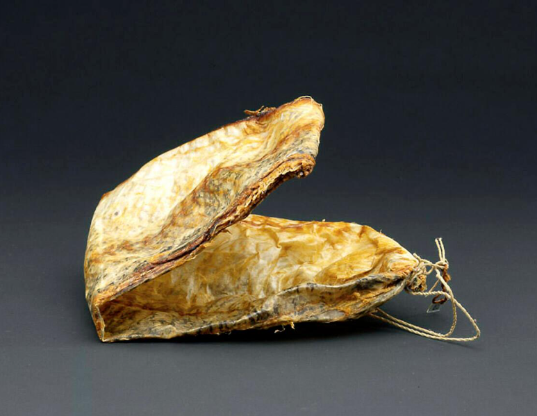 A crumpled bag with a drawstring and visible scales