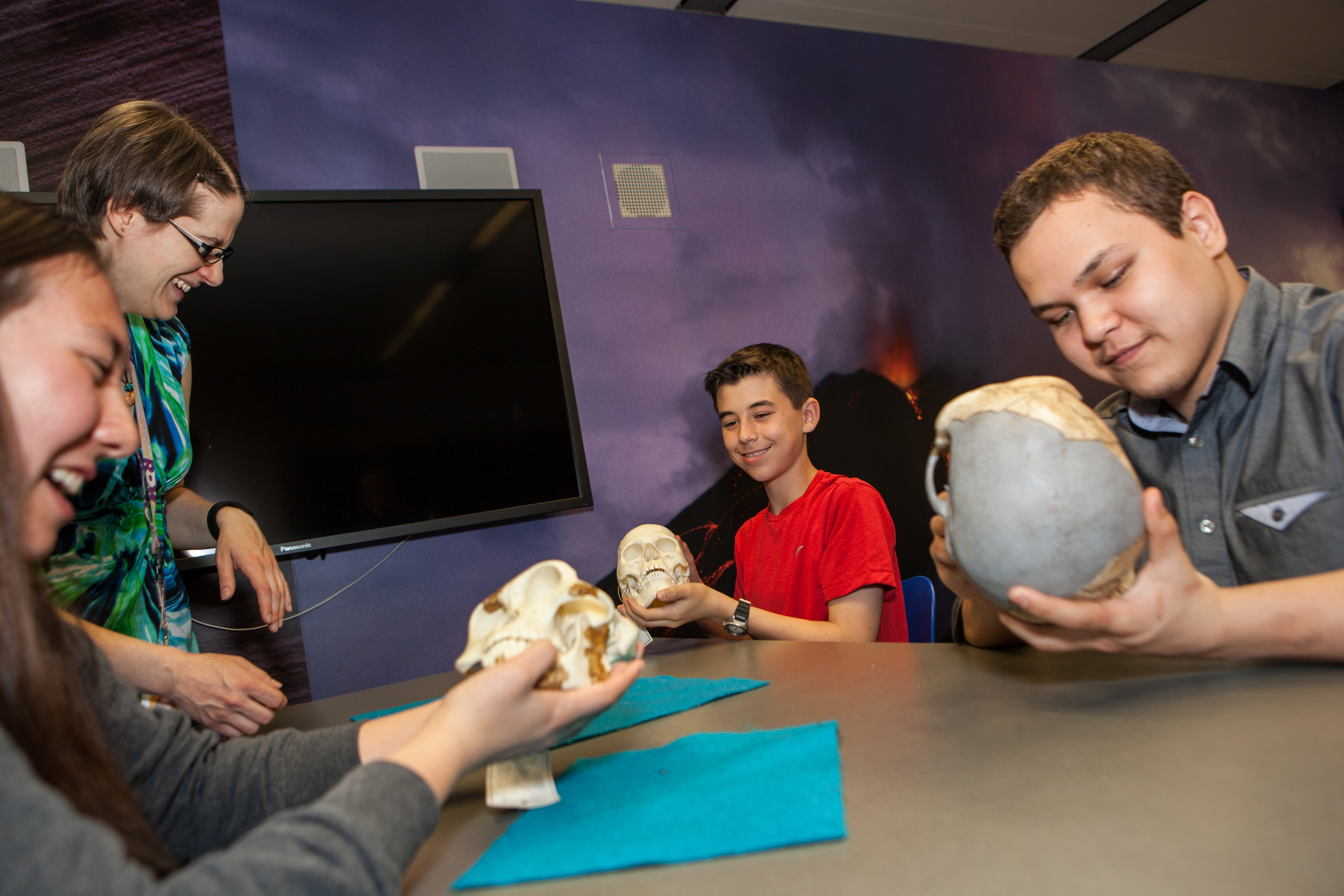 Three diverse smiling students hold replica early human skulls while talking to an educator.