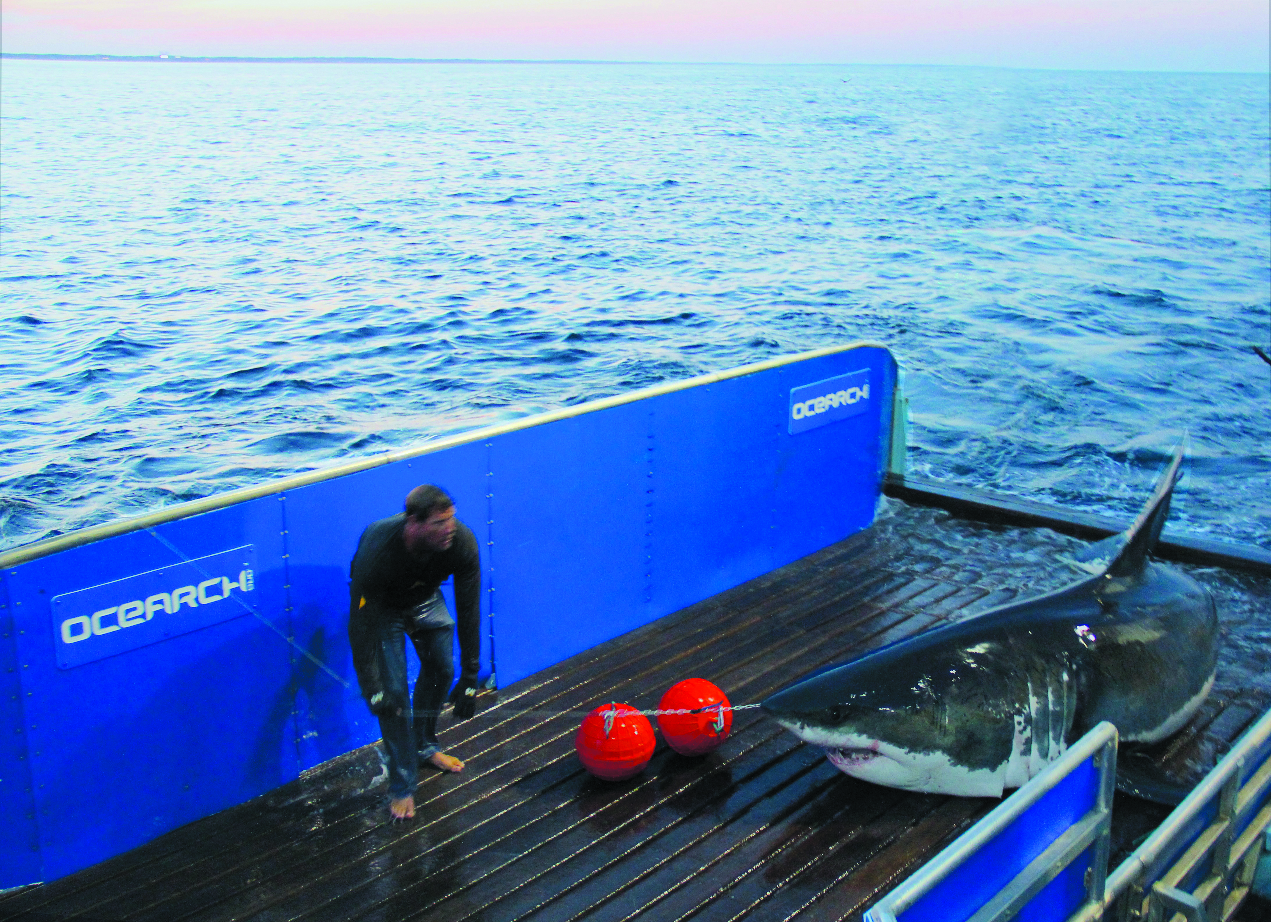 A person kneels on a boat deck near three orange buoys and a large fish beside a blue barrier labeled "OCEANECH."