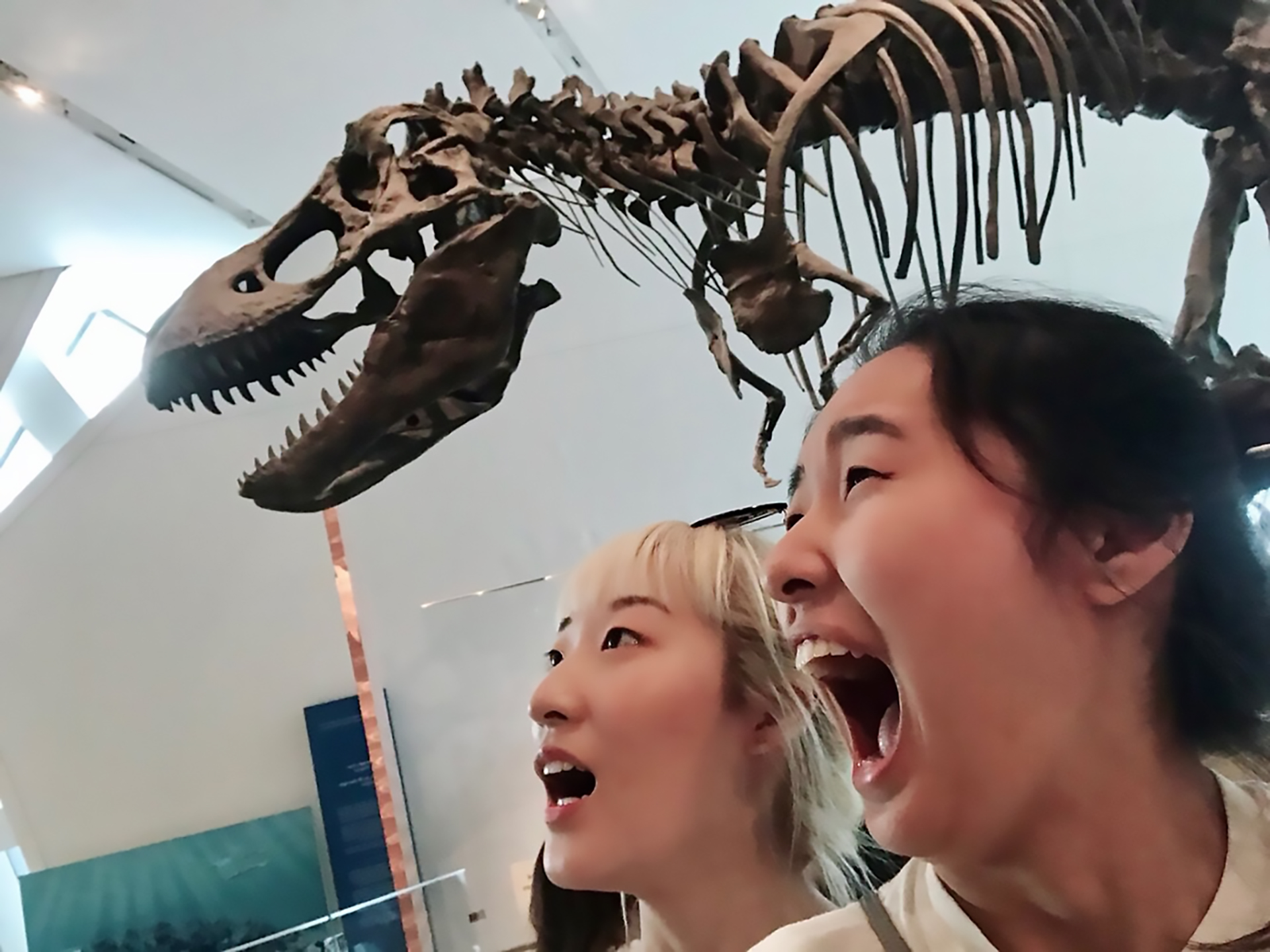 Two girls pretend to be scared in front of a T.rex skeleton