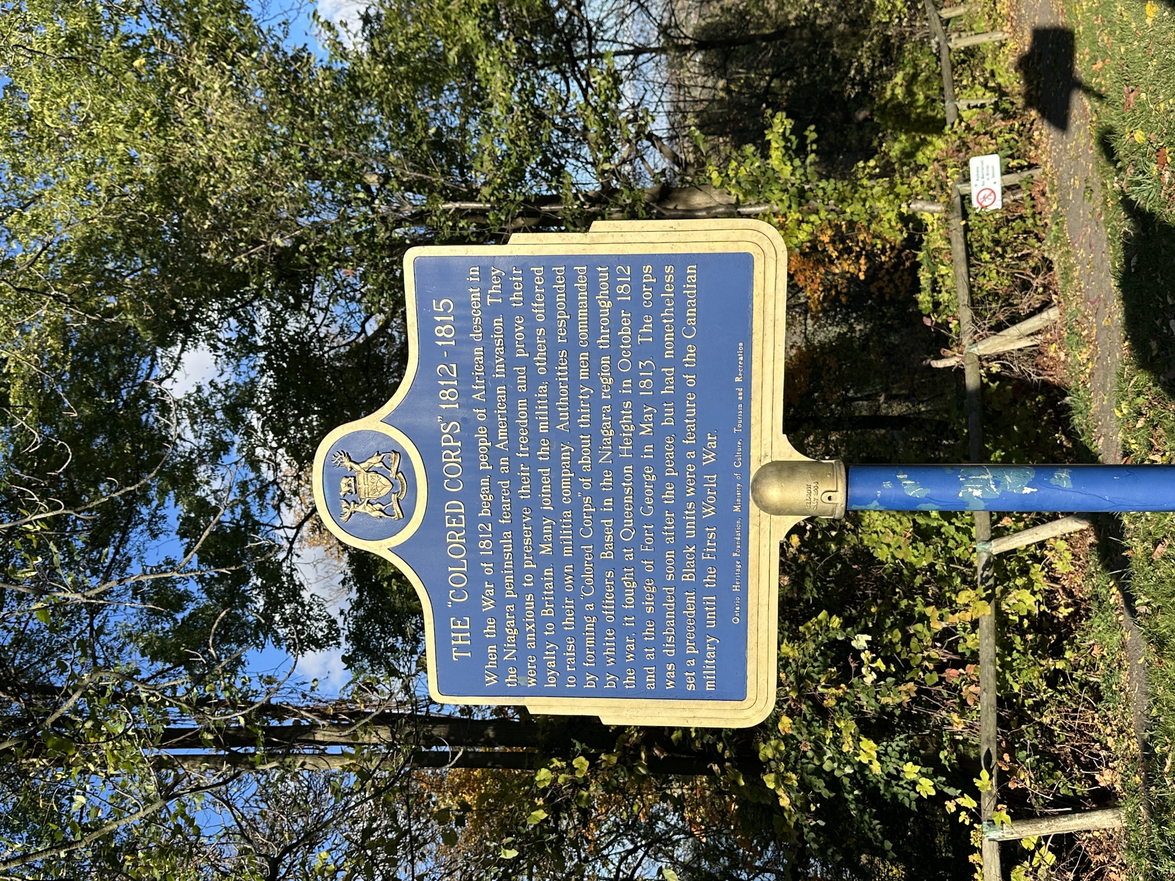 Coloured Corps Plaque, © R. Bush.