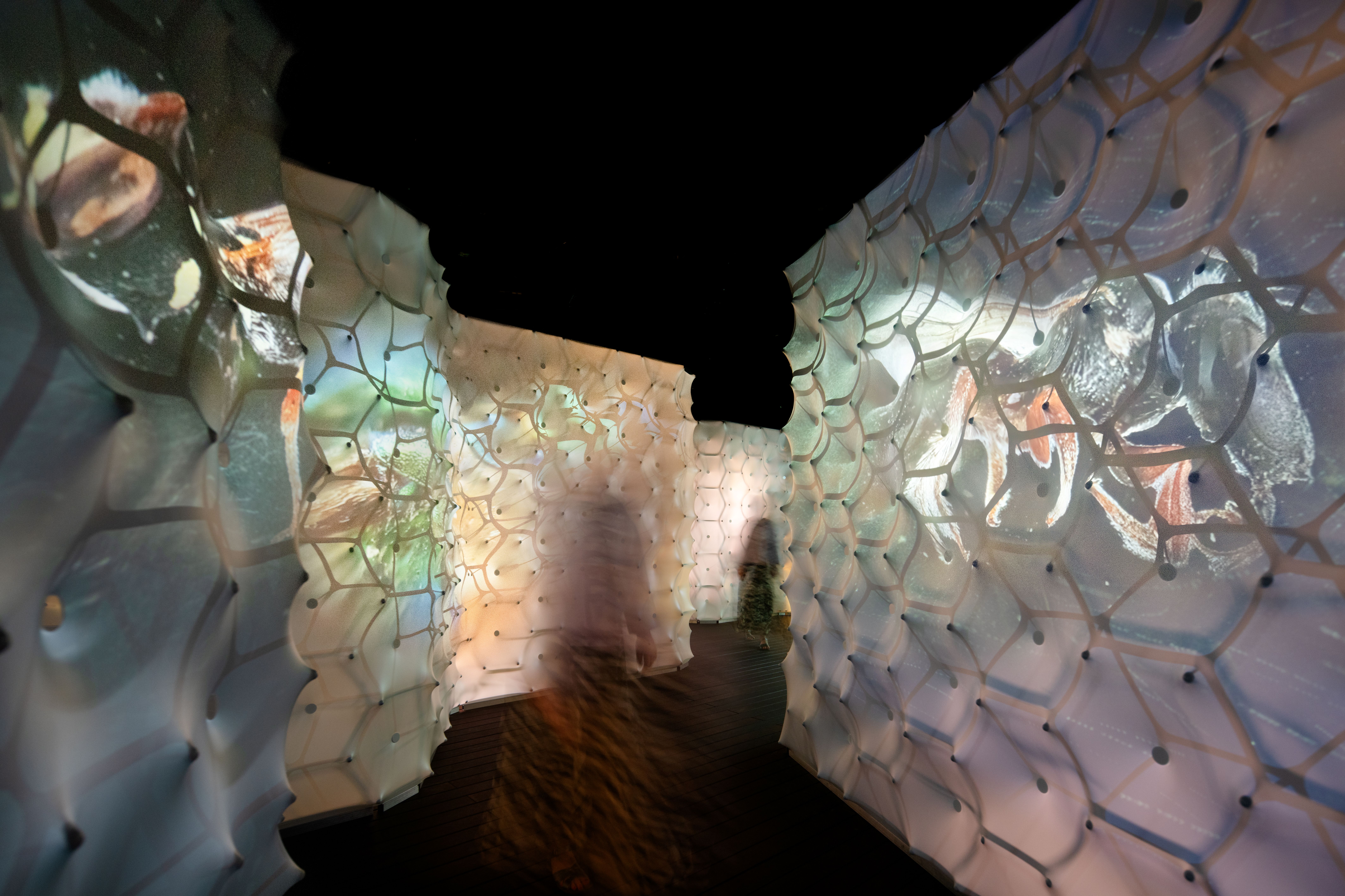 An oversized stylized honeycomb tunnel welcomes visitors into the exhibition experience.