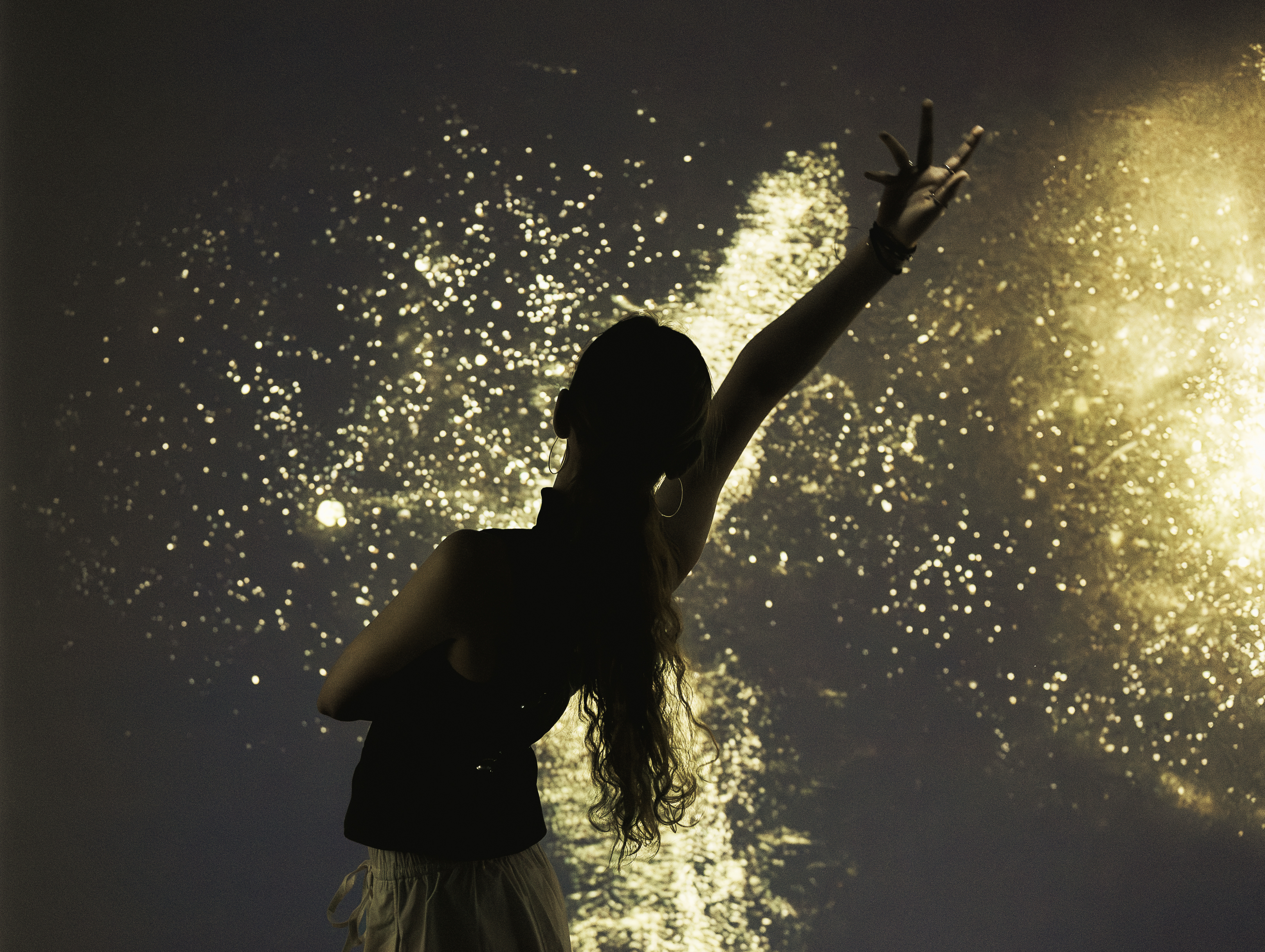 A person stands in front of an interactive pollen screen.