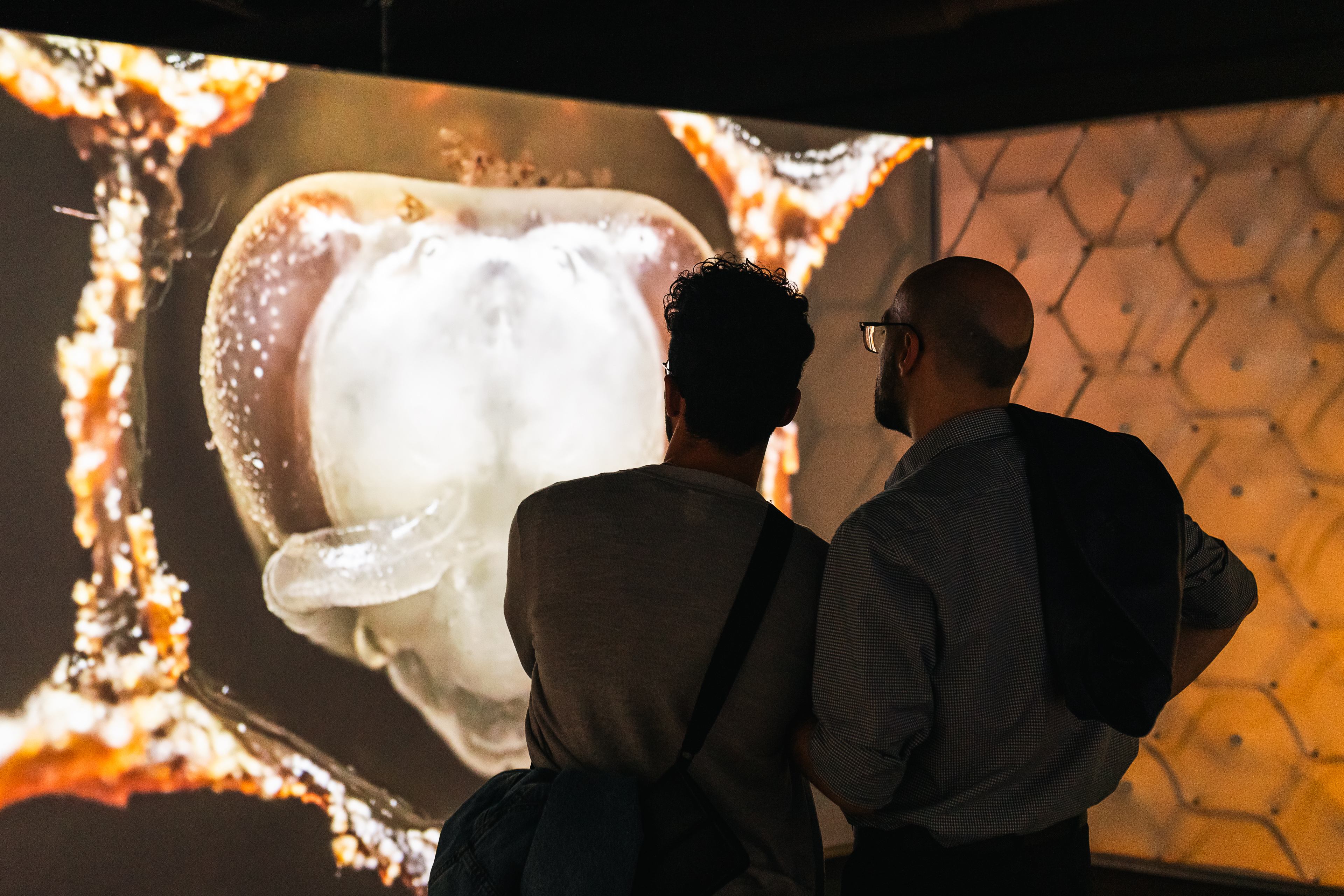 Two people interact with a projection in the BEES exhibition.