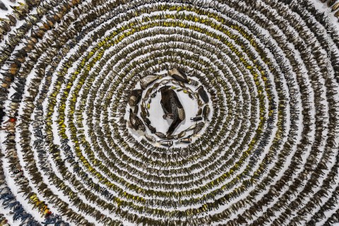 Cercles concentriques constitués d'une alternance de matériaux naturels clairs et foncés formant un motif en spirale autour d'une forme centrale foncée.