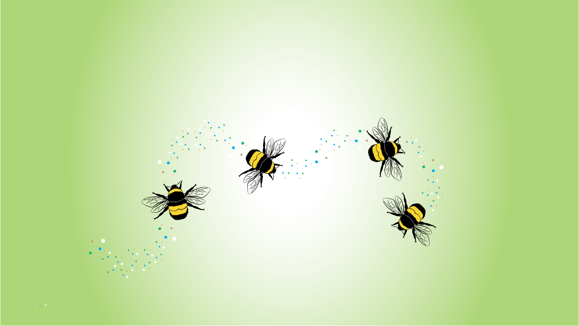 several bumble bees flying on a green background