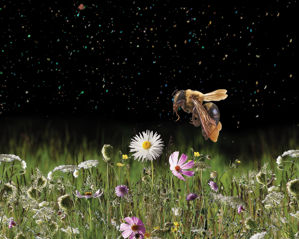 a bee hovers over a meadow of grasses and flowers
