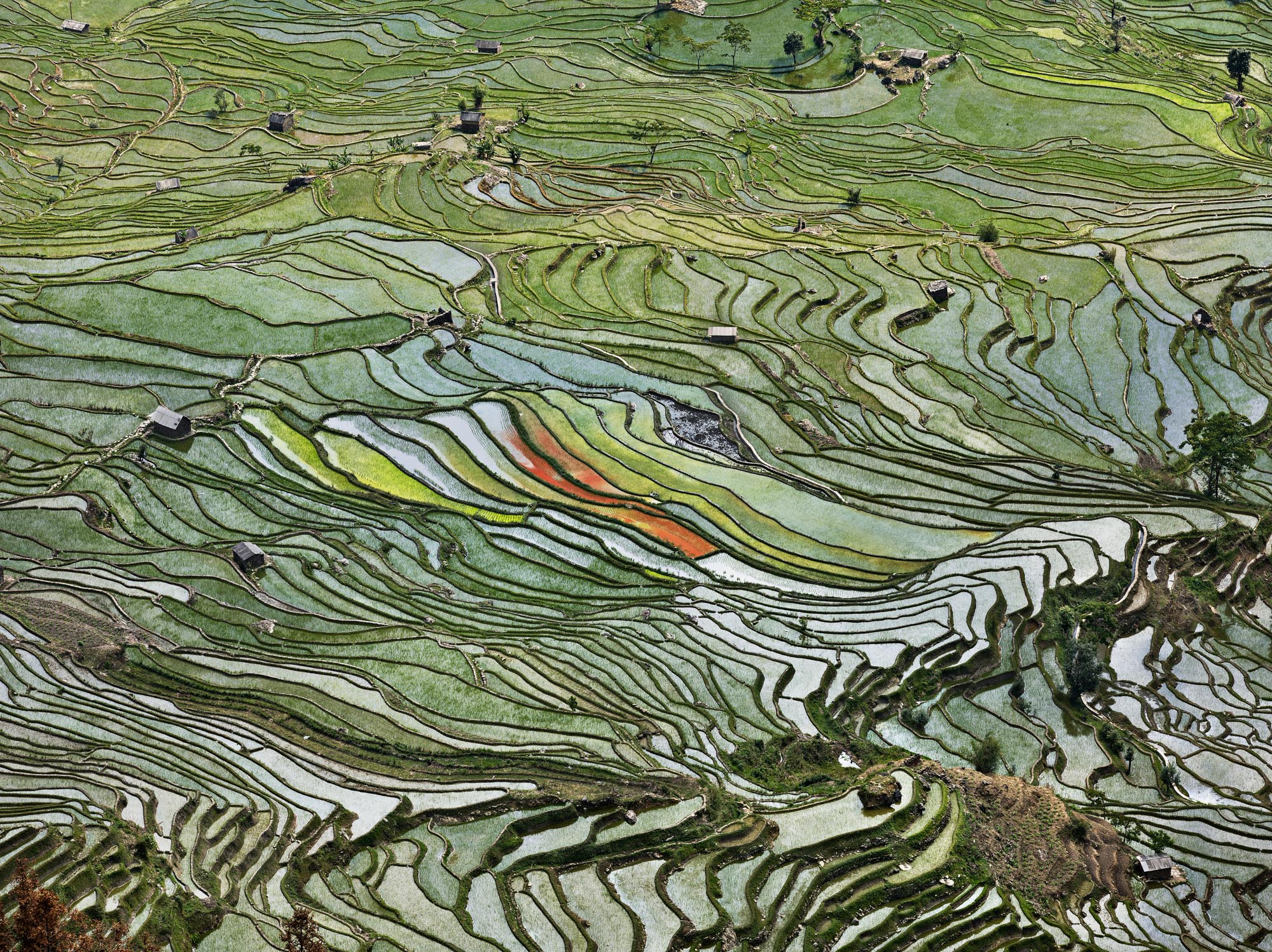 Aerial view of rice terraces