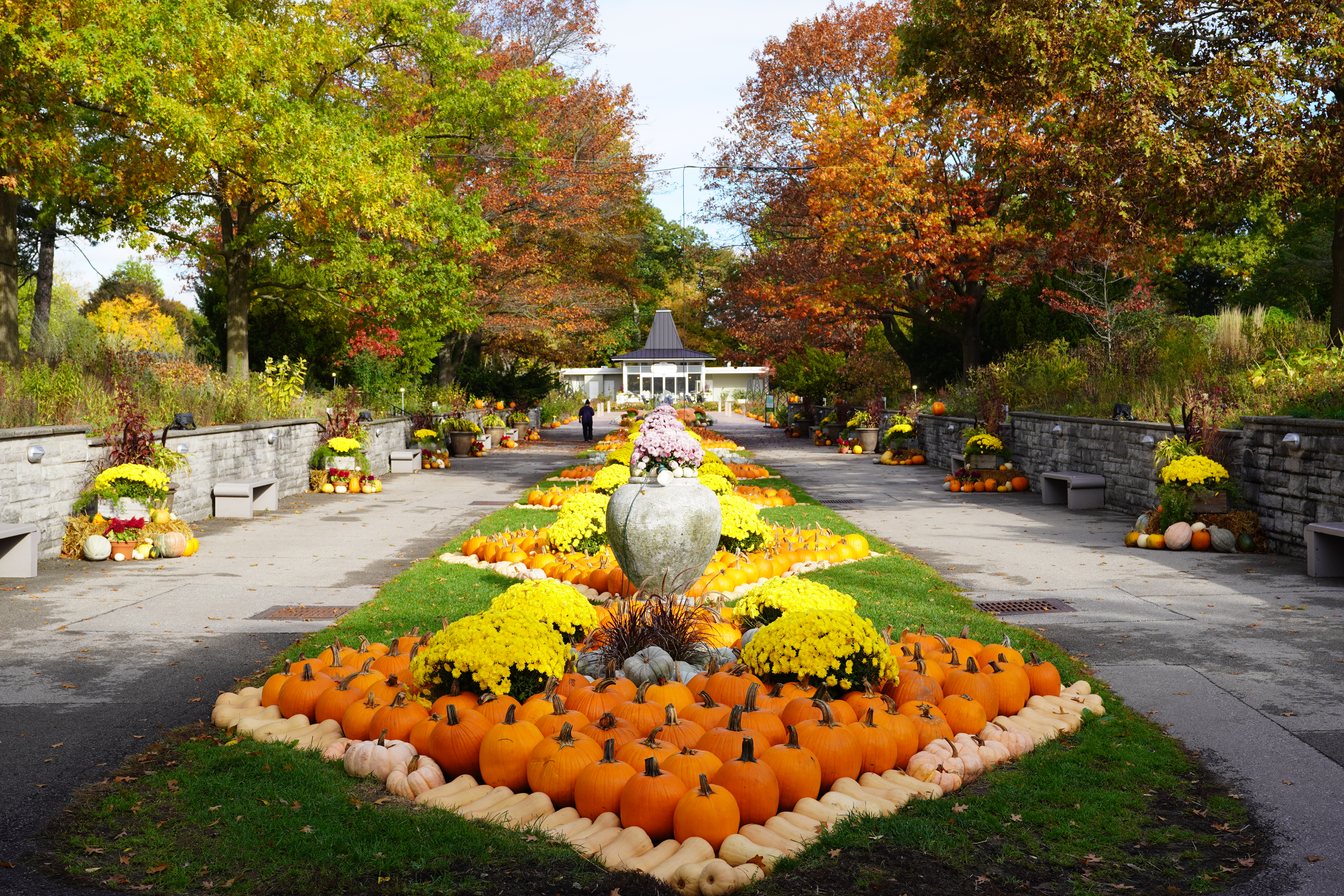 Image courtesy of Royal Botanical Gardens. Hendrie Park Fall Display.