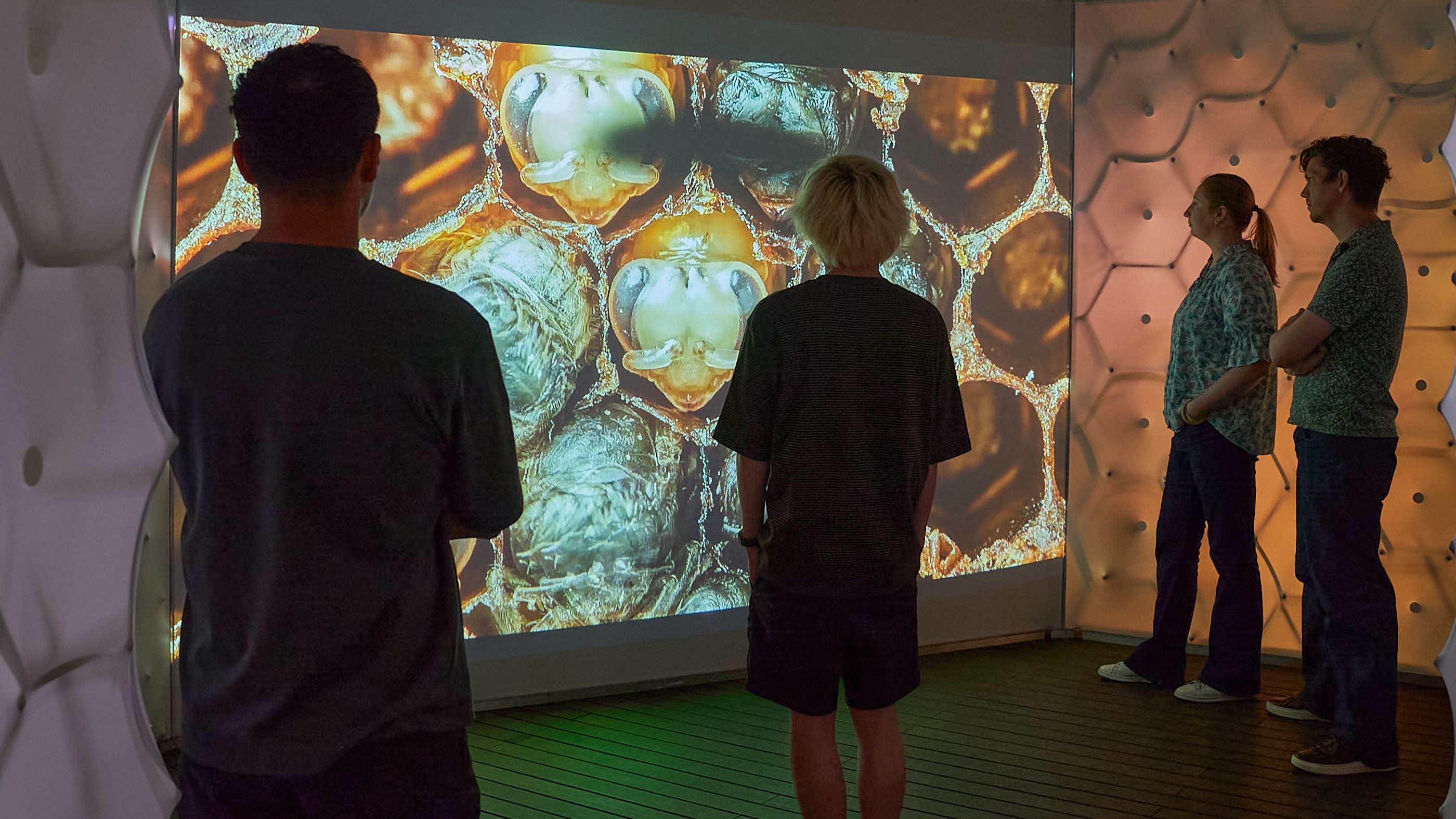 Four people stand in front of a large screen depicting bees in a honeycomb habitat.