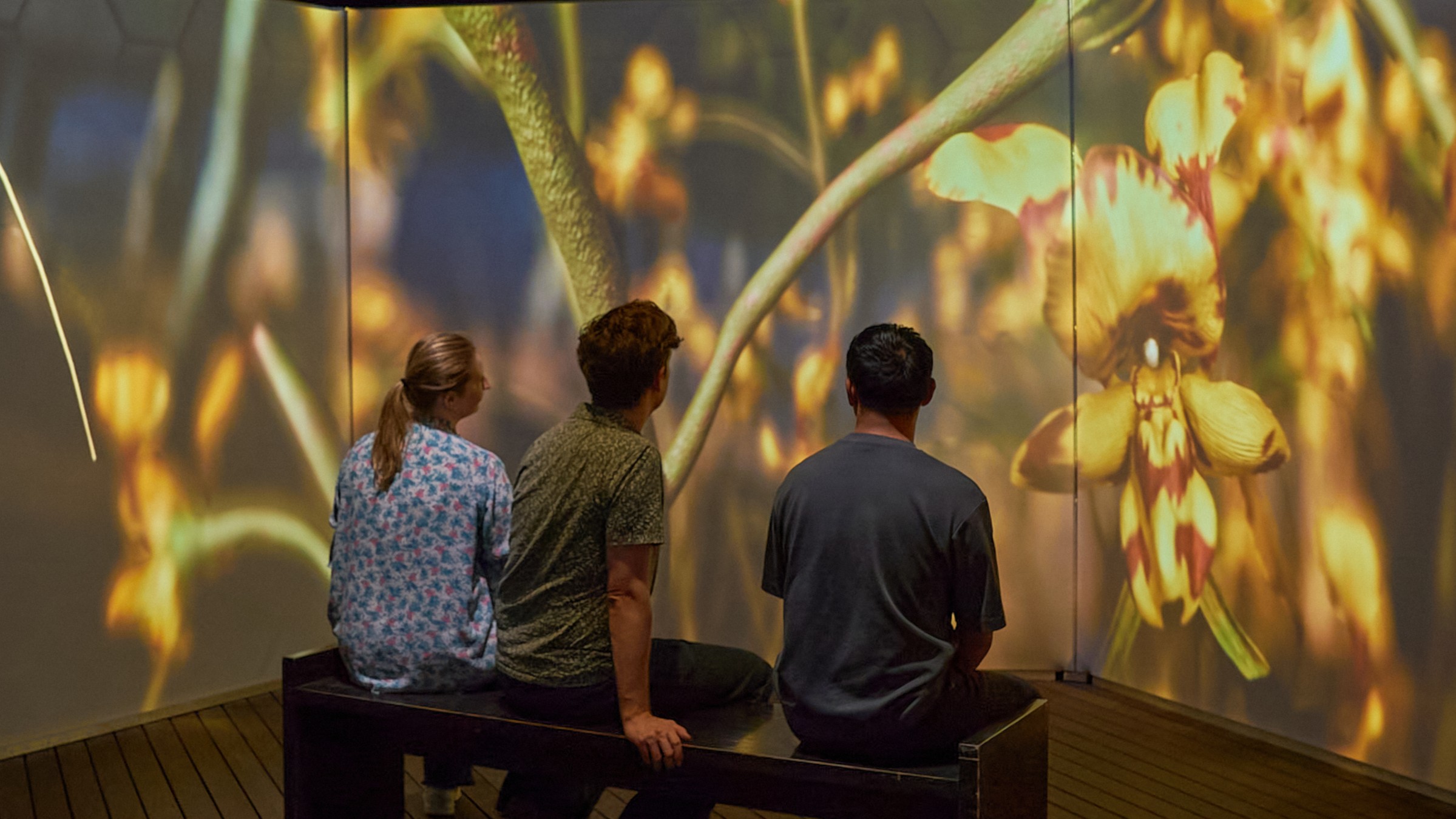 Three people sit on a bench in front of a large screen depicting bee habitat.
