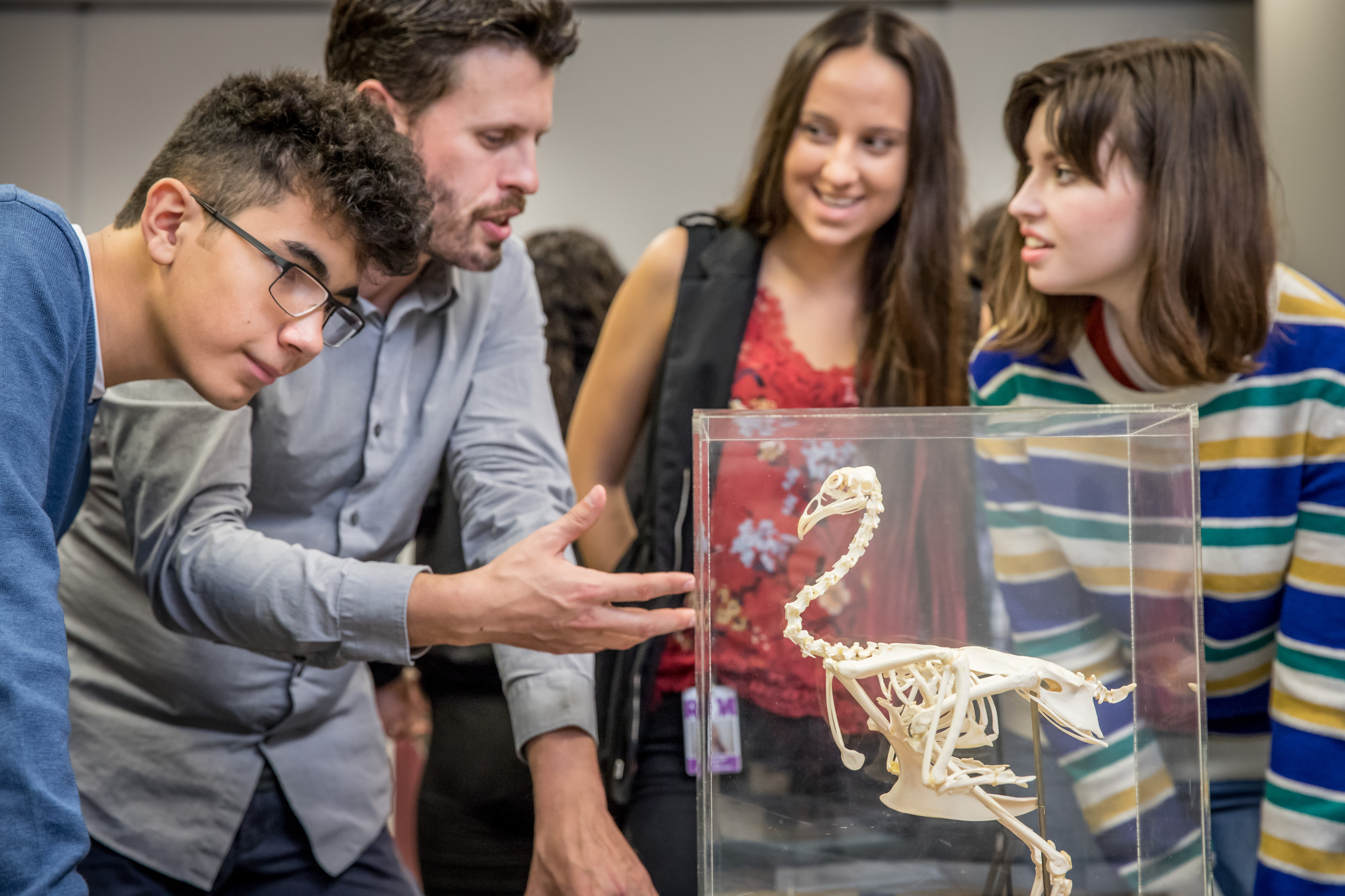 a teacher instructs smiling students about a bird skeleton