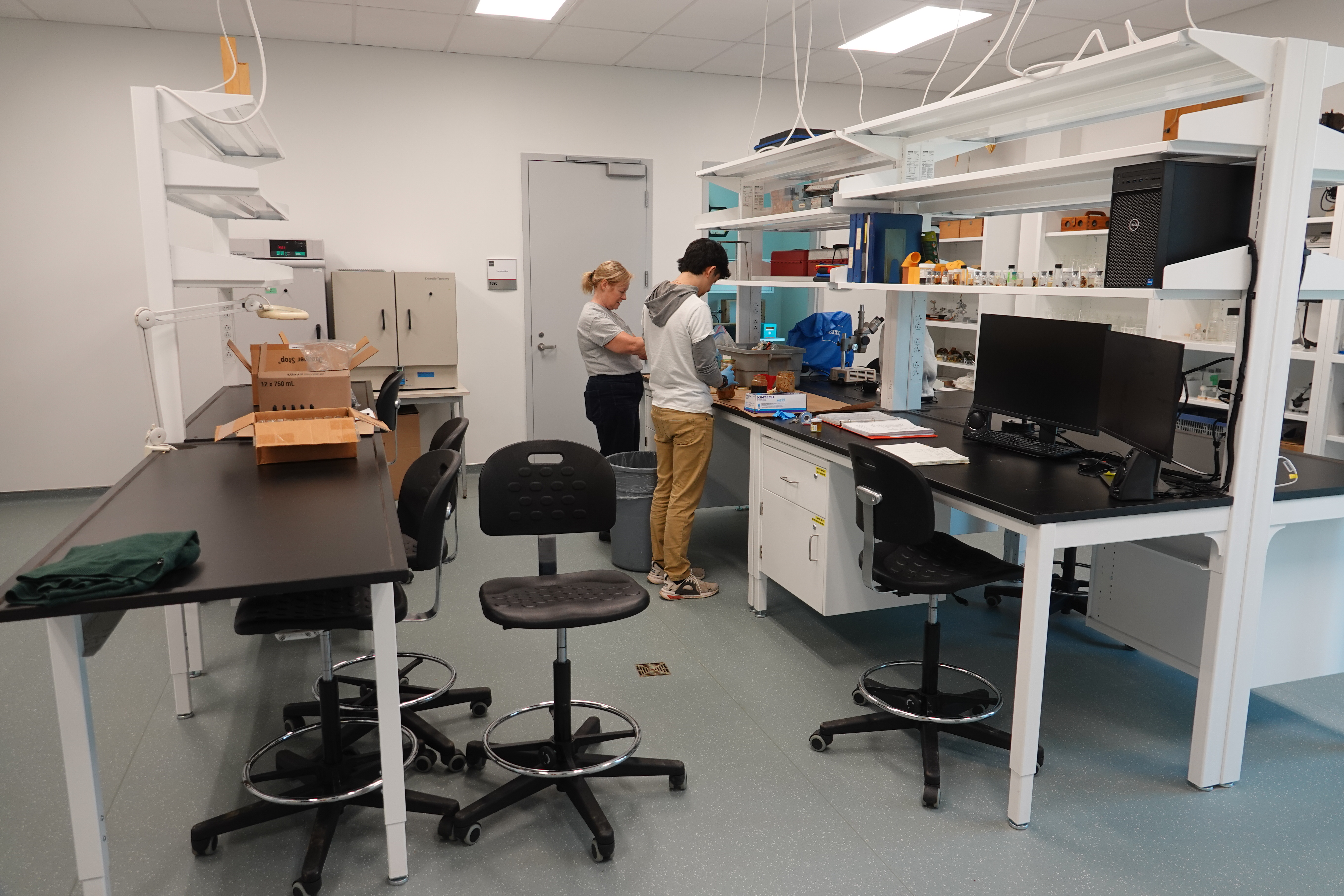 Bee research © Craig Smith
