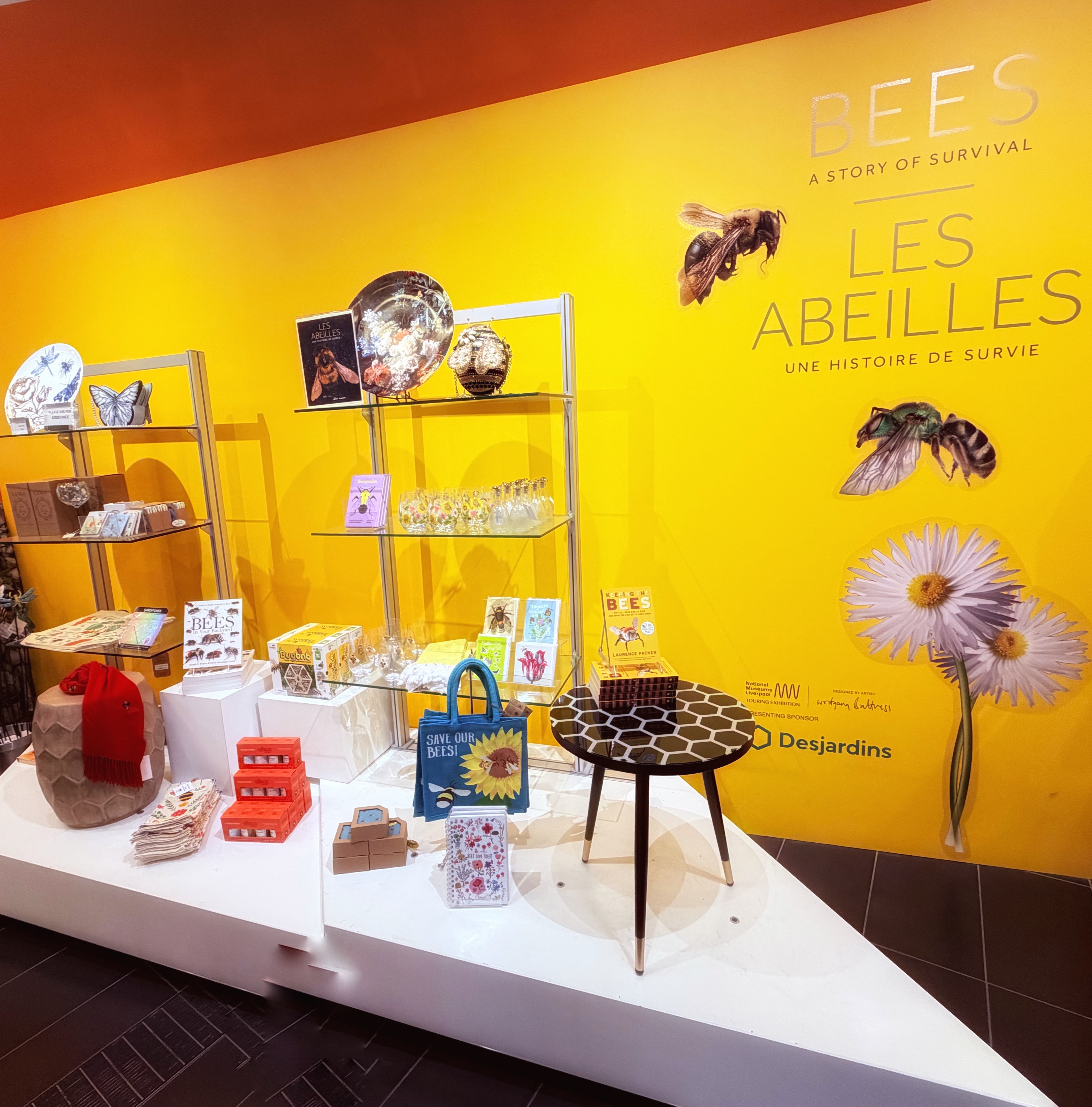 Présentoir ROM Boutique
