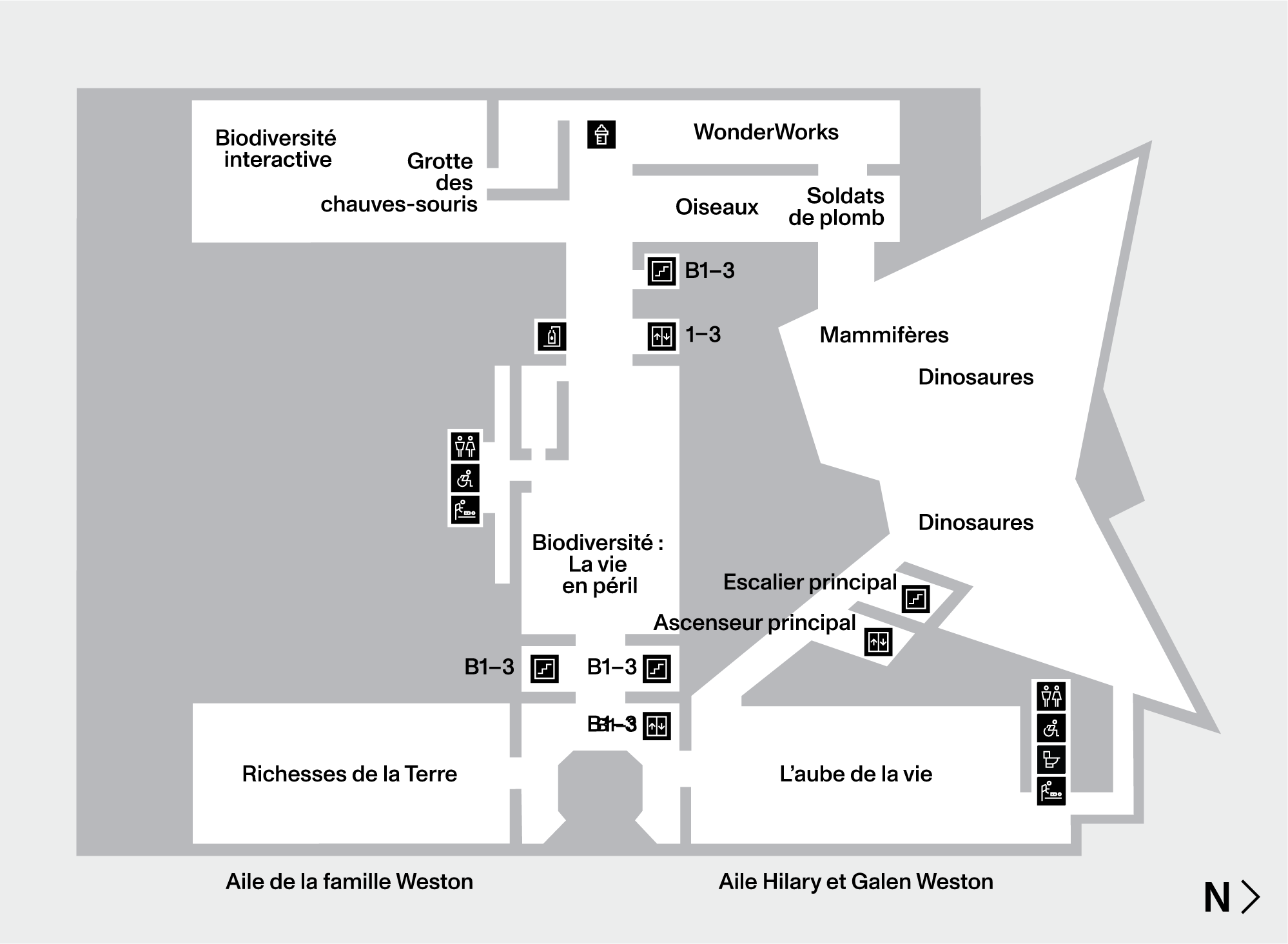 Carte ROM Niveau 2