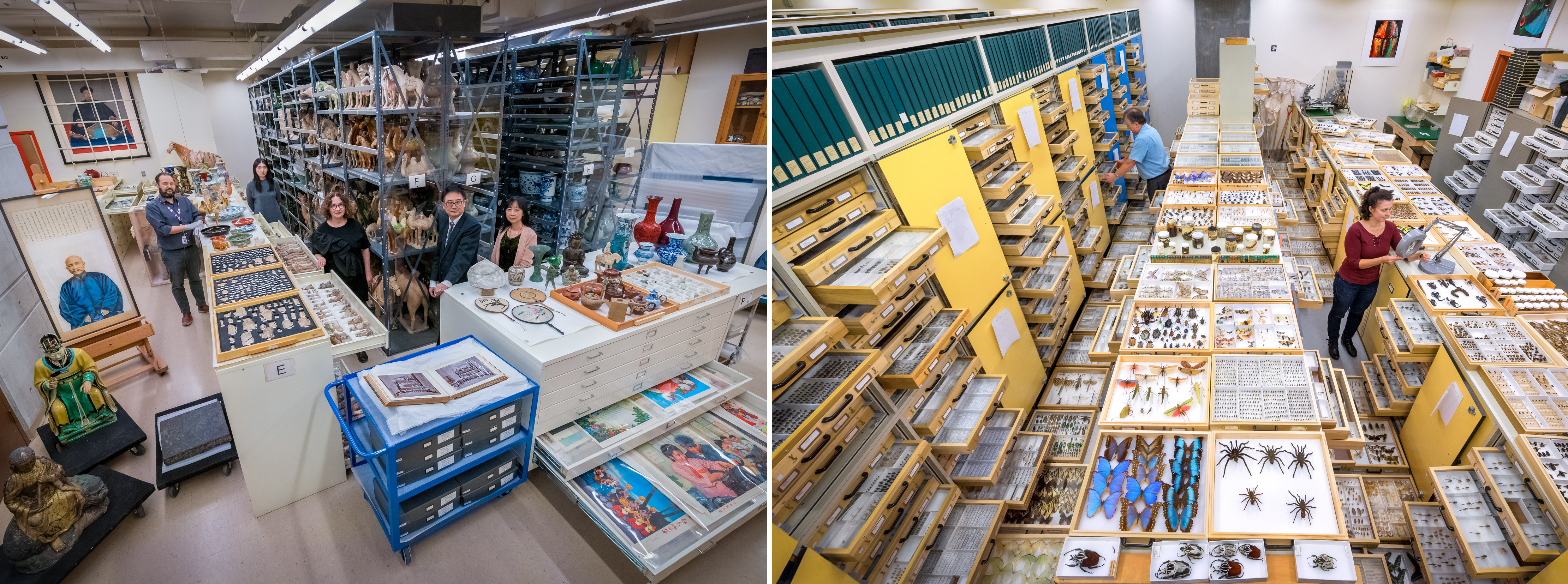 Two views of a large storage room filled with shelves and tables holding artifacts and boxes in the Royal Ontario Museum collections.