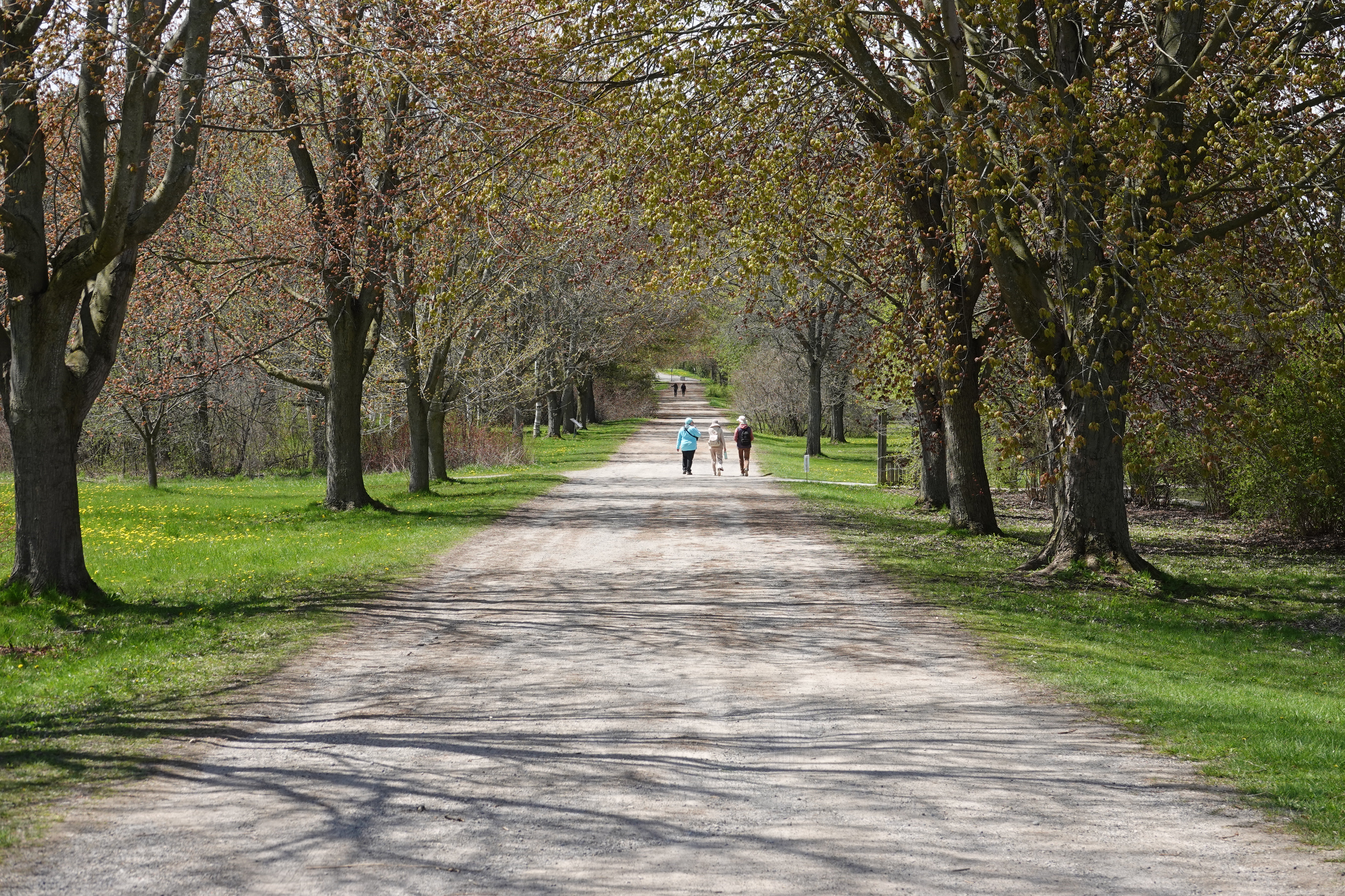 Walking path Guelph Arboretum © Craig Smith