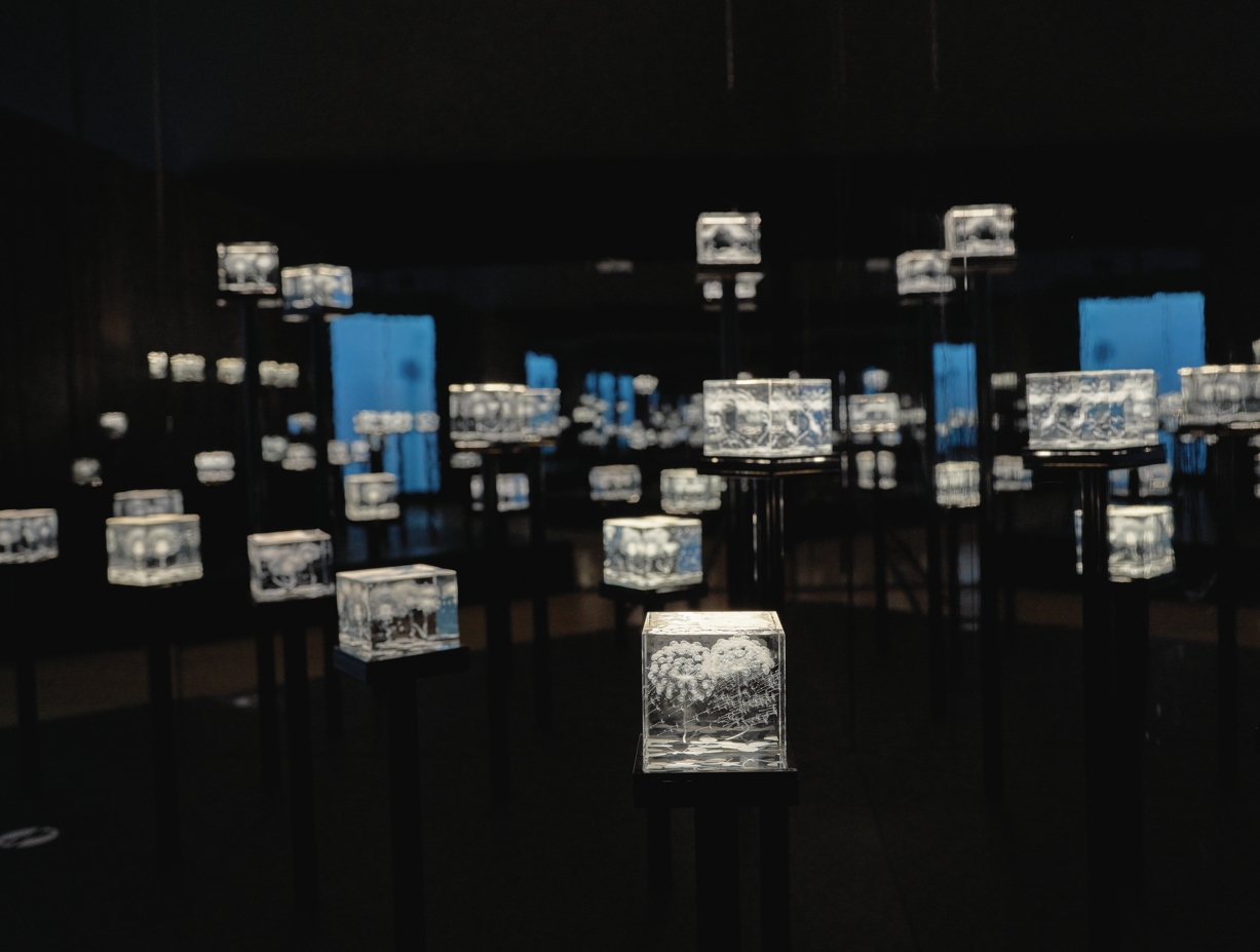 Illuminated glass cubes displayed on tall black pedestals in a dark gallery installation, creating a field of glowing sculptural artworks.