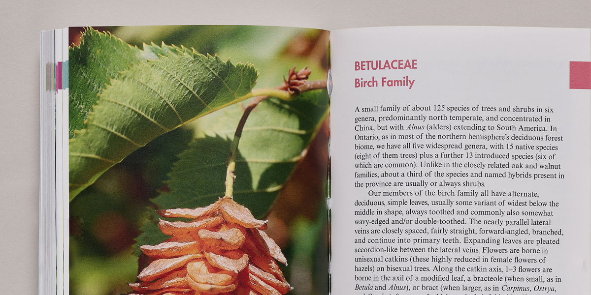 A Field Guide to Trees of Ontario