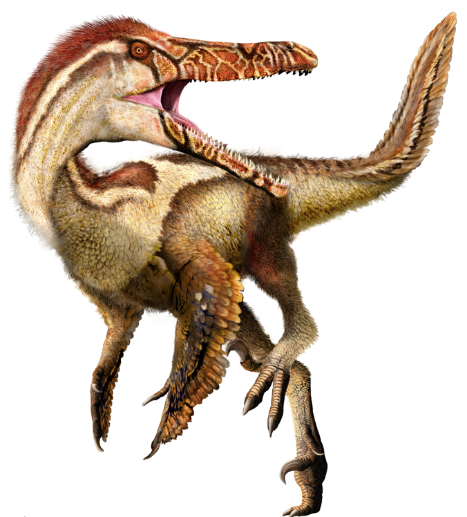 Austroraptor illustrated image