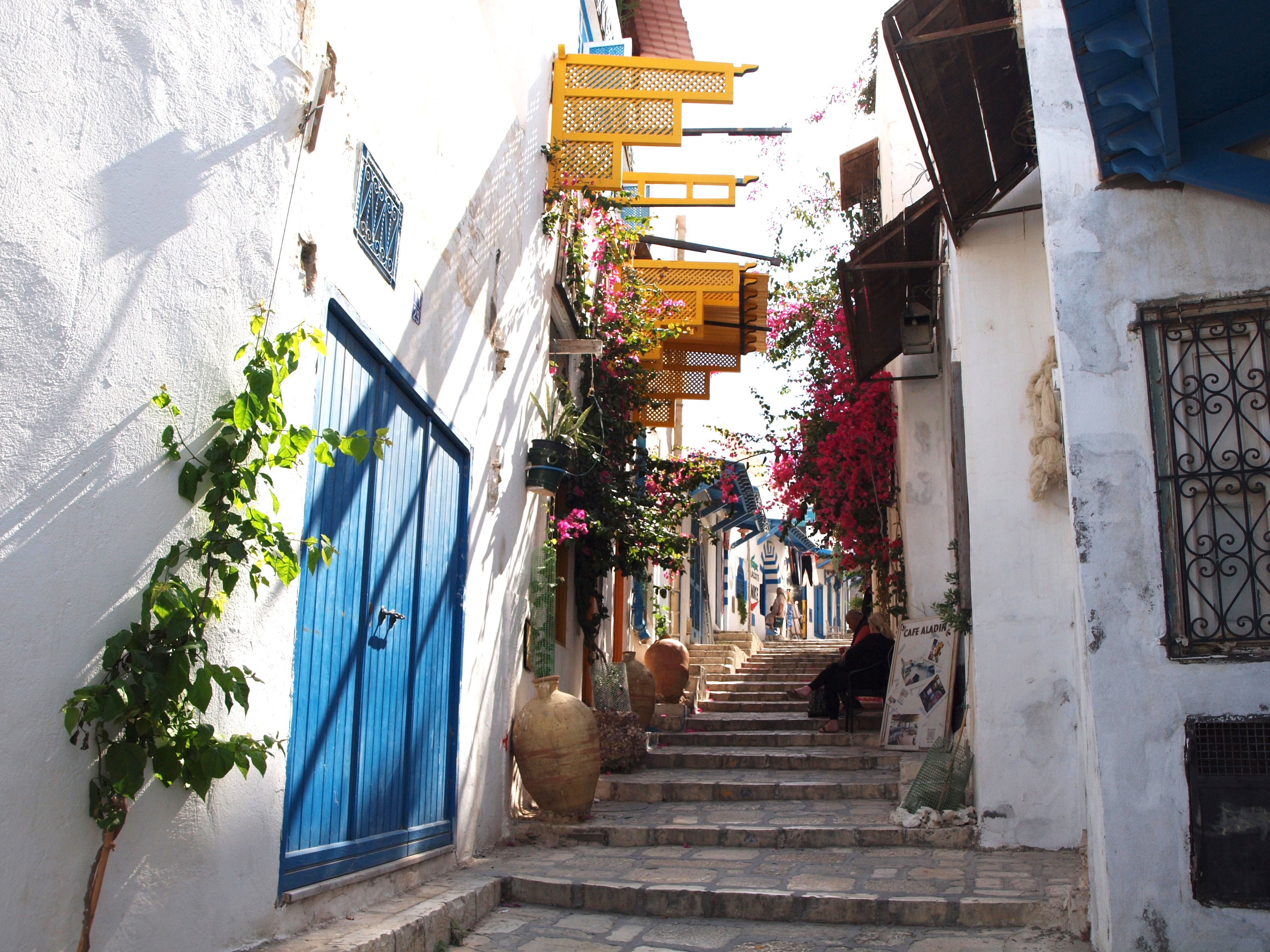 A quaint, colourful street lined with blue doors and walls adorned with vibrant flowers, featuring a blue sign and a series of steps leading up a cobblestone path.