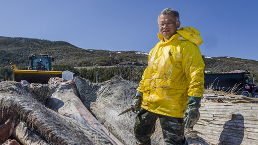 Researcher working onsite recovering the Blue Whale in Newfoundland