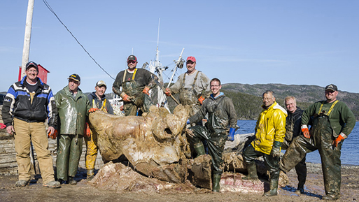 Team standing with the Blue Whale