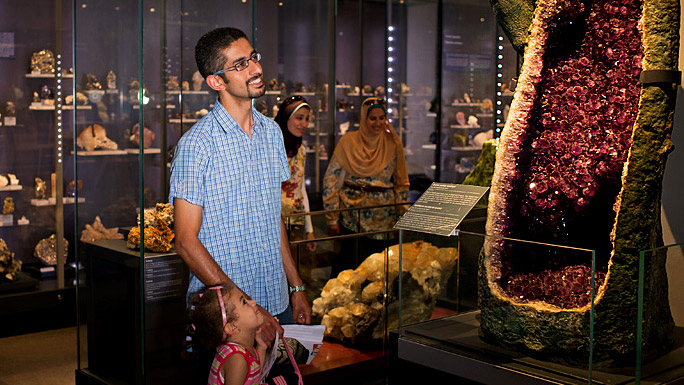 Teck Suite of Galleries: Earth's Treasures