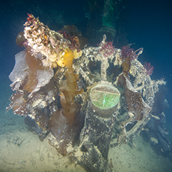 Le gouvernail du HMS Terror