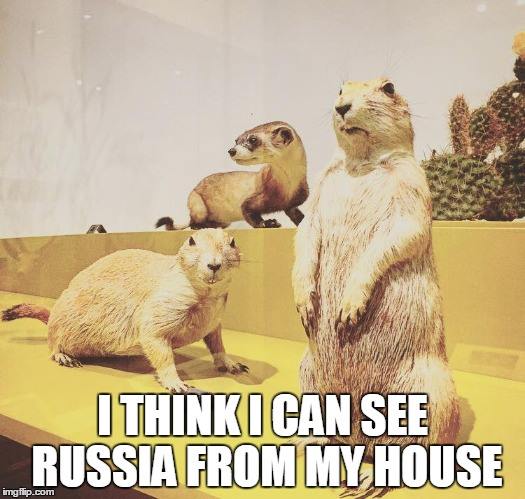ROMmeme prairie dogs. Caption: I think I can see Russia from my house! 