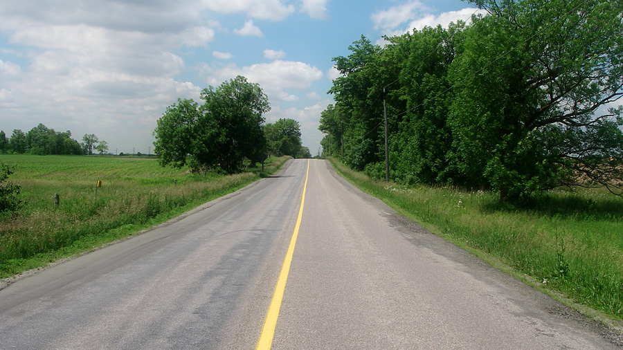 Country road with green fields on either side.