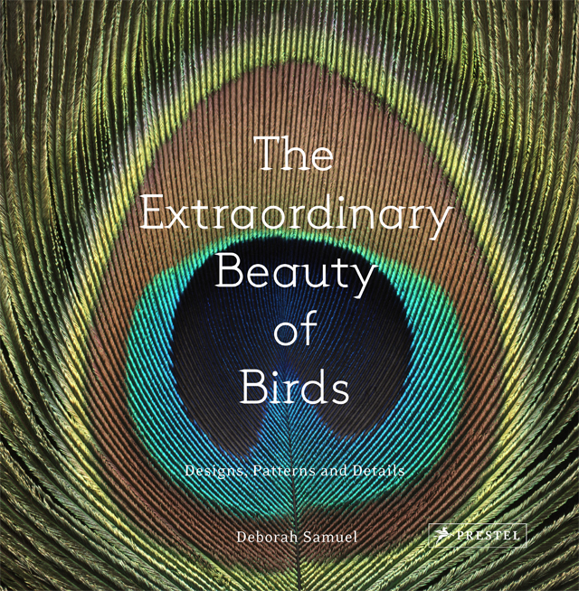 Cover of new book by photographer Deborah Samuels, "The Extraordinary Beauty of Birds"