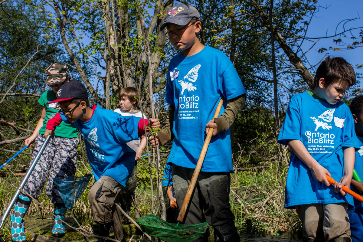 A group of excited children explore a swamp area