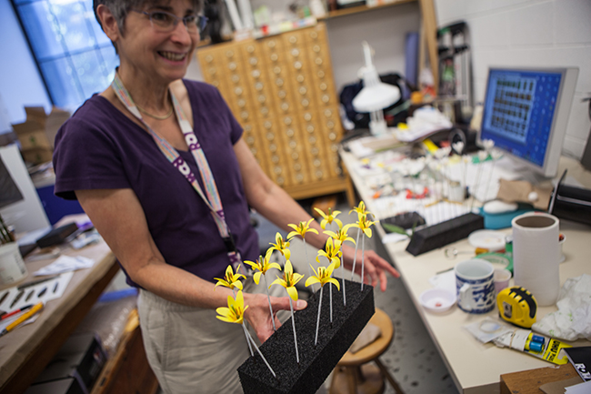 ROM Exhibit Artist Georgia Guenther shows some trout lily model wildflowers that still need leaves added to their stems