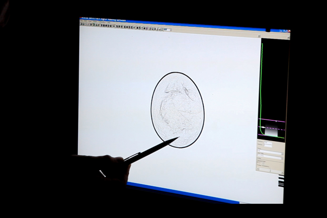 a view of a computer monitor that shows a digital x-ray of the contents of a passenger pigeon egg from ROM collections