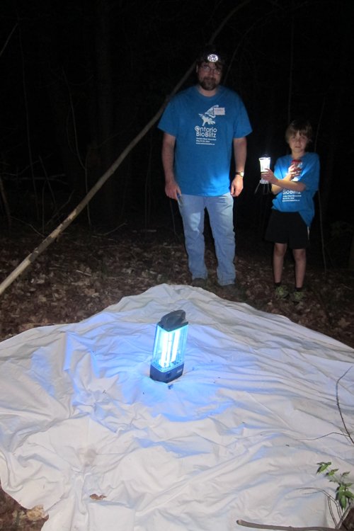 Beetle specialist Andrew Smithstands with Antonia's son in front of a light trap ready to capture some beetles! Photo by Antonia Guidotti