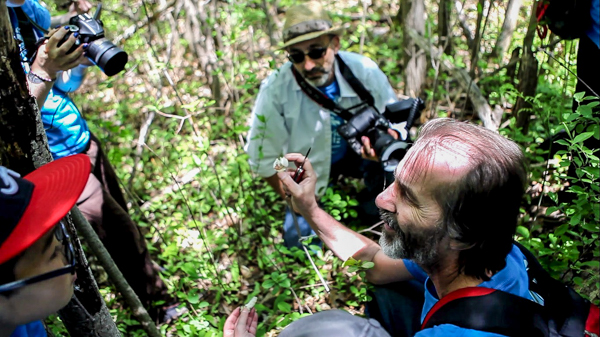 bioblitzers crowd around ROM mycology curator Jean-Marc Moncalvo as he shows them the wild Agaricus specimen