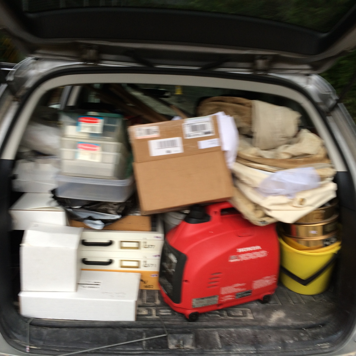 Natural History Subaru packed with gear. Photo Antonia Guidotti.