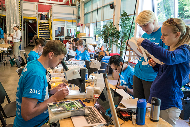 A group of scientists sit at a long table covered with specimens and microscopes, working to identify the species during the 2015 Ontario BioBlitz. Photo by Stacey Lee Kerr