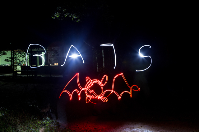 "BATS" spelled out using a long exposure light painting photography technique. Photo by Vincent Luk