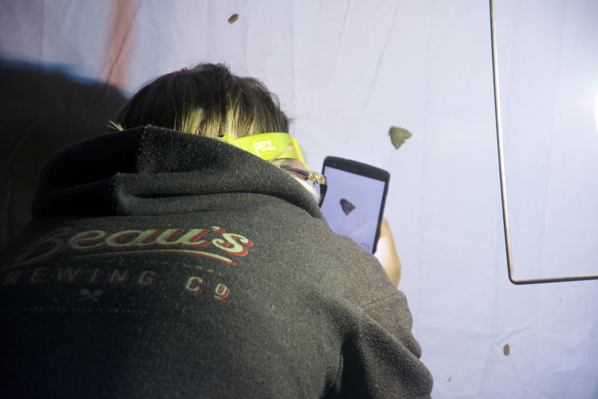 A girl takes a picture of a moth illuminated by a lamp using her cell phone