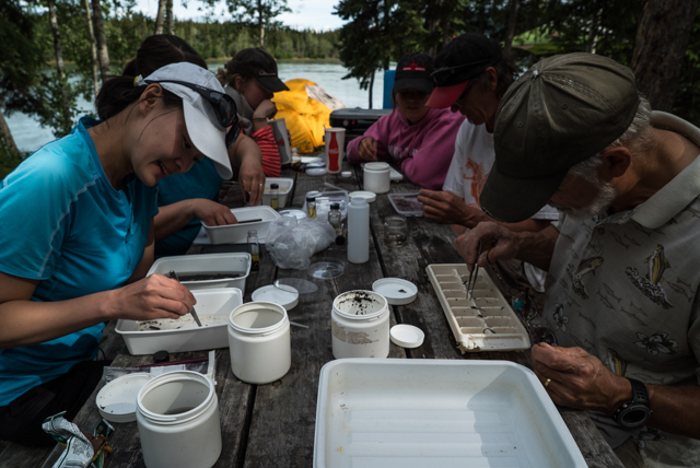 BioBlitzers sort through aquatic invertebrates at base camp. Photo by Stacey Lee Kerr