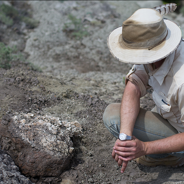 Digging up dinosaurs in the Southern Alberta Badlands (left to right Dr. David Evans, Cary Woodroffe