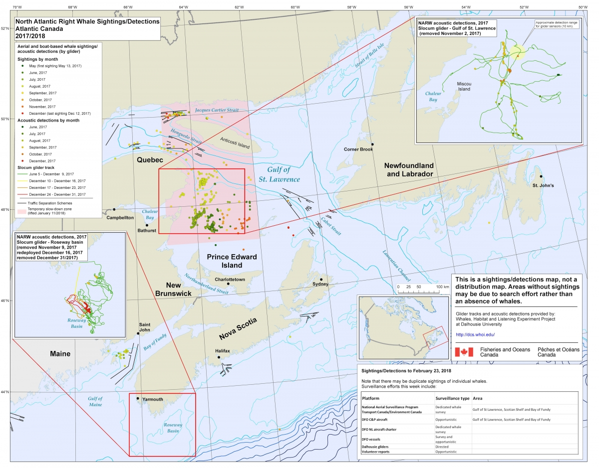 Map illustrating right whale sightings from the Department of Fisheries and Oceans