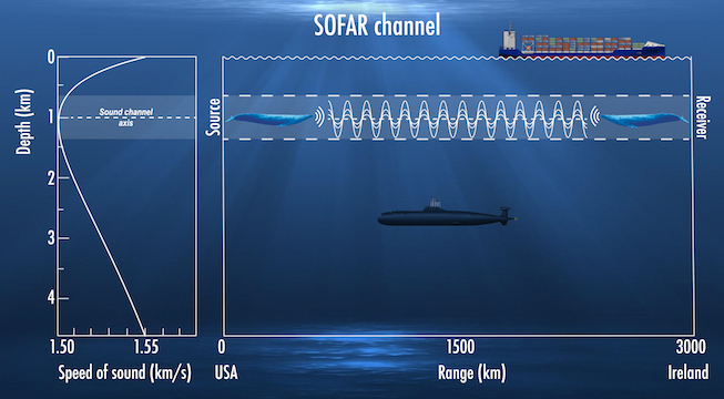 The SOFAR channel is a horizontal layer of water in the ocean at which depth sound may travel thousands of miles. Image by Viridiana Jimenez