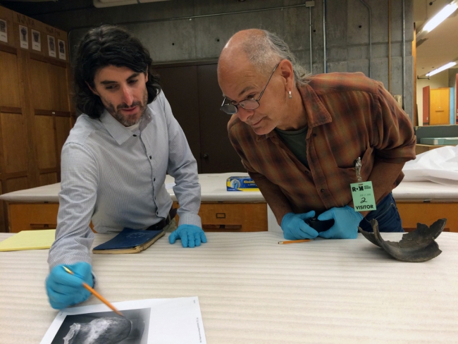 Craig and Richard examine a photograph of a pot in ROM's collection room.