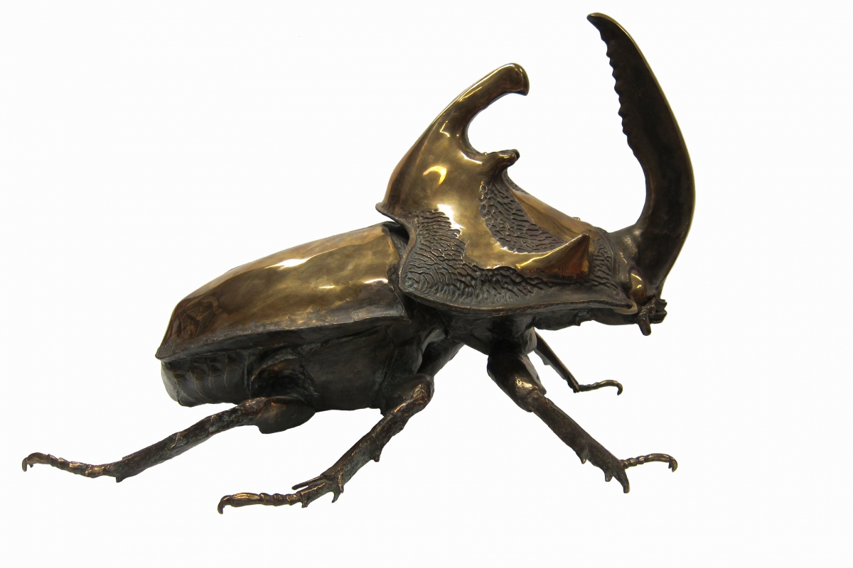 Giant Bronze Beetles by artist George Foster