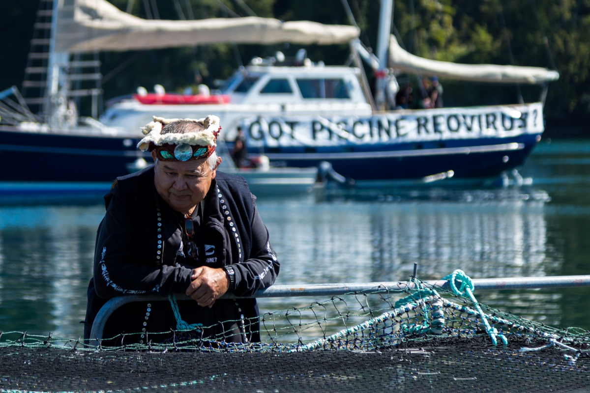 A West Coast 1st Nations elder looks in a fish pen, with a sailboat visible on the water behind him.